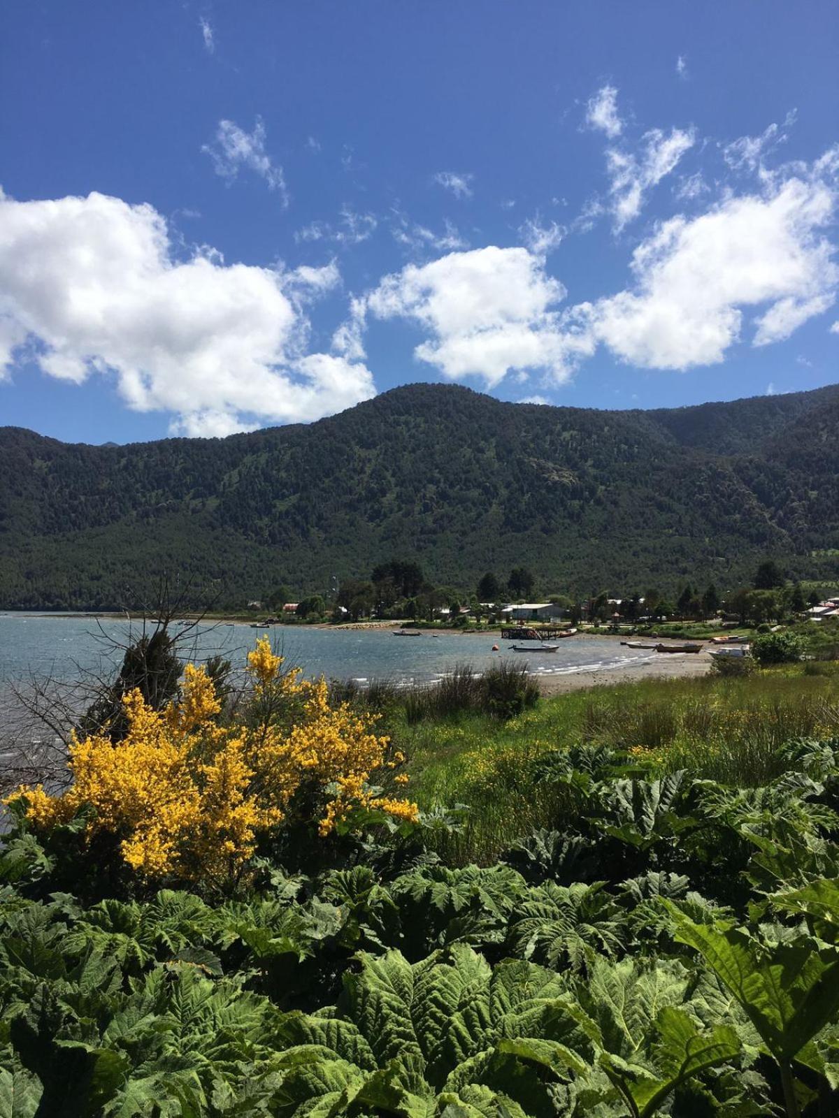 Cabanas Ruepue Puyuhuapi エクステリア 写真